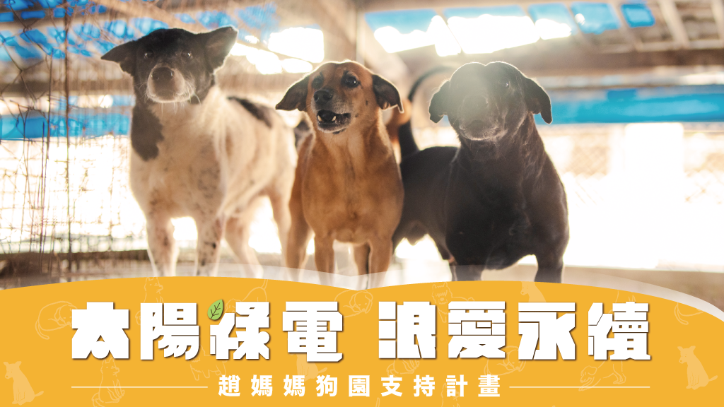 狗園永續新思維！知名公益團體協助狗園募集太陽能板自給自足