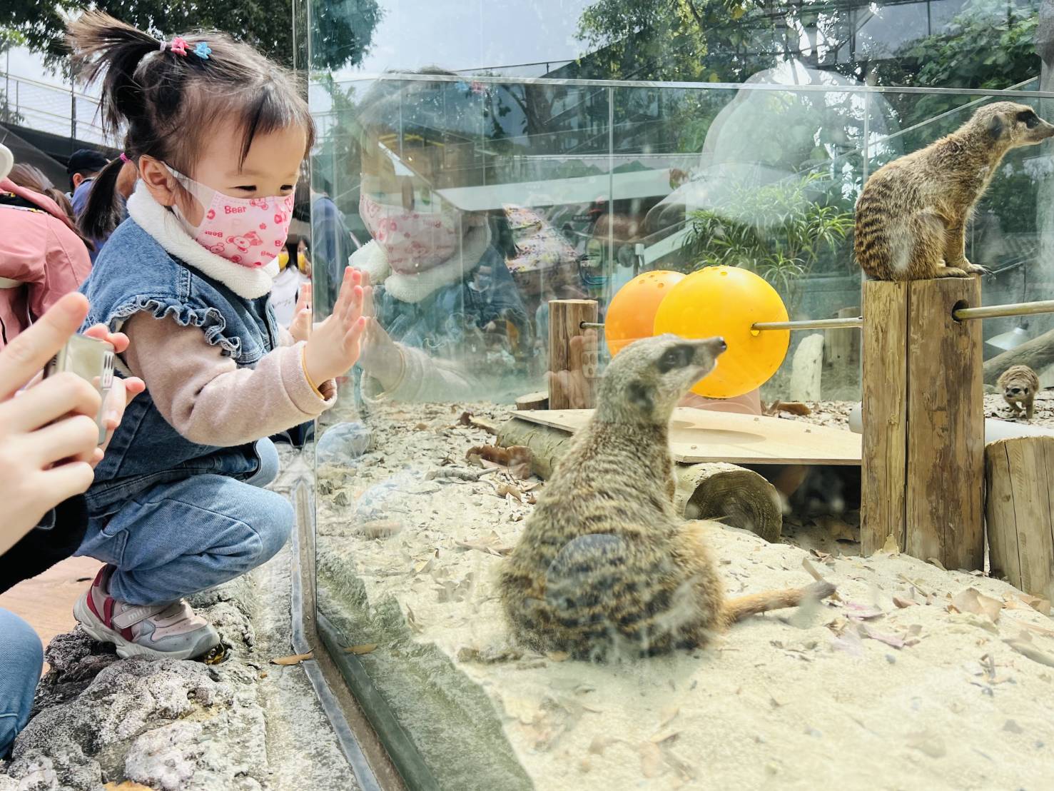 清明4天連假高雄必玩景點 12歲以下免費入園