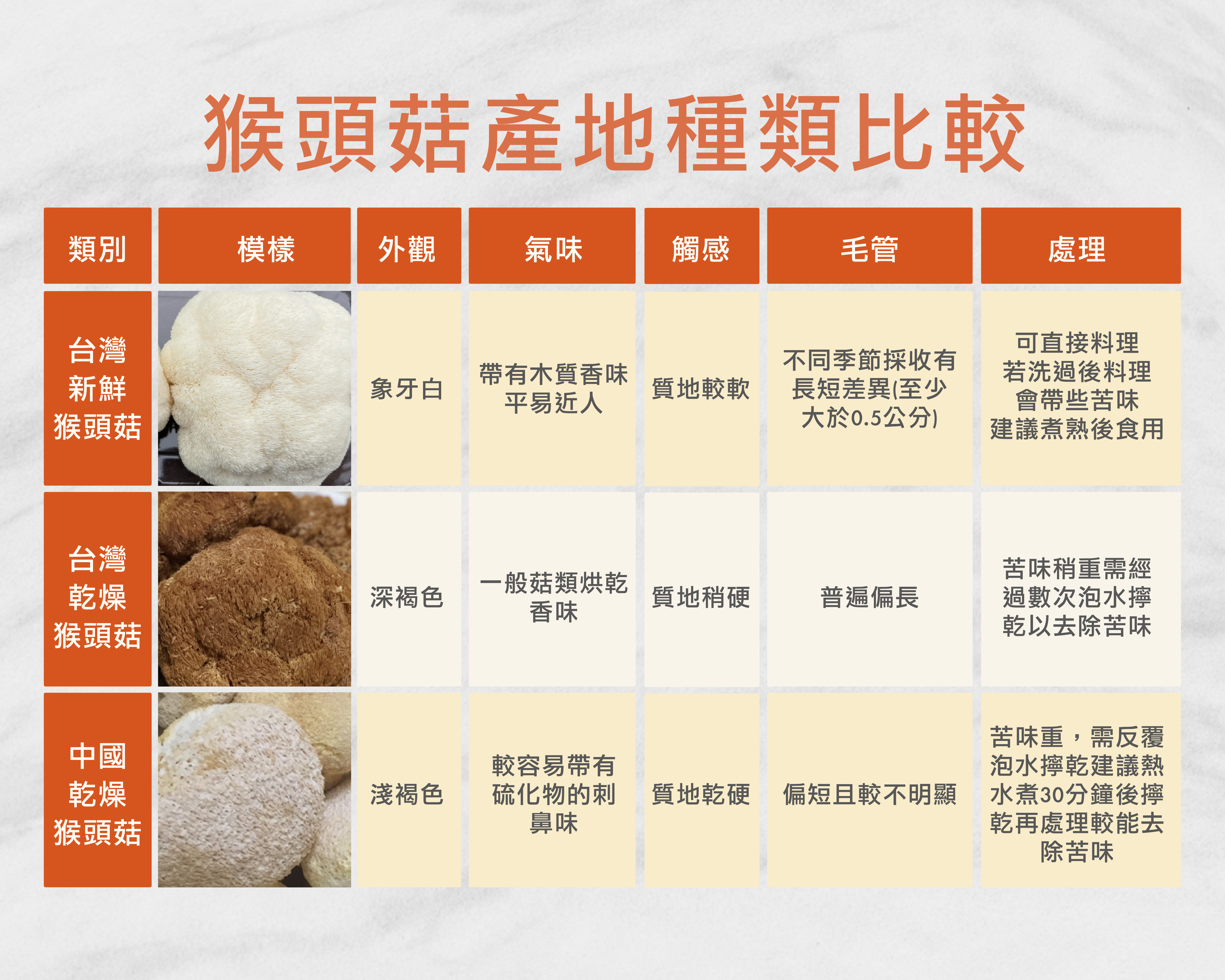 猴頭菇竟能成為家常菜的最佳主角！2圖秒懂挑選注意事項與料理祕訣