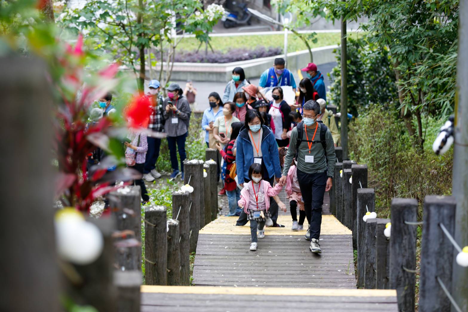 新北深坑萬福生態公園 桐花祭活動登場