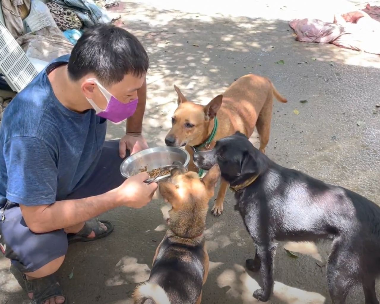 毛孩集糧讓無家可歸的浪浪飽餐一頓