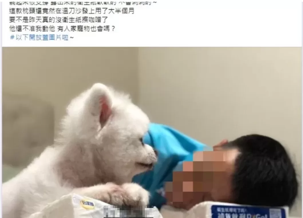 人夫輸給「衛生紙」！網友：寵物小狗愛躺