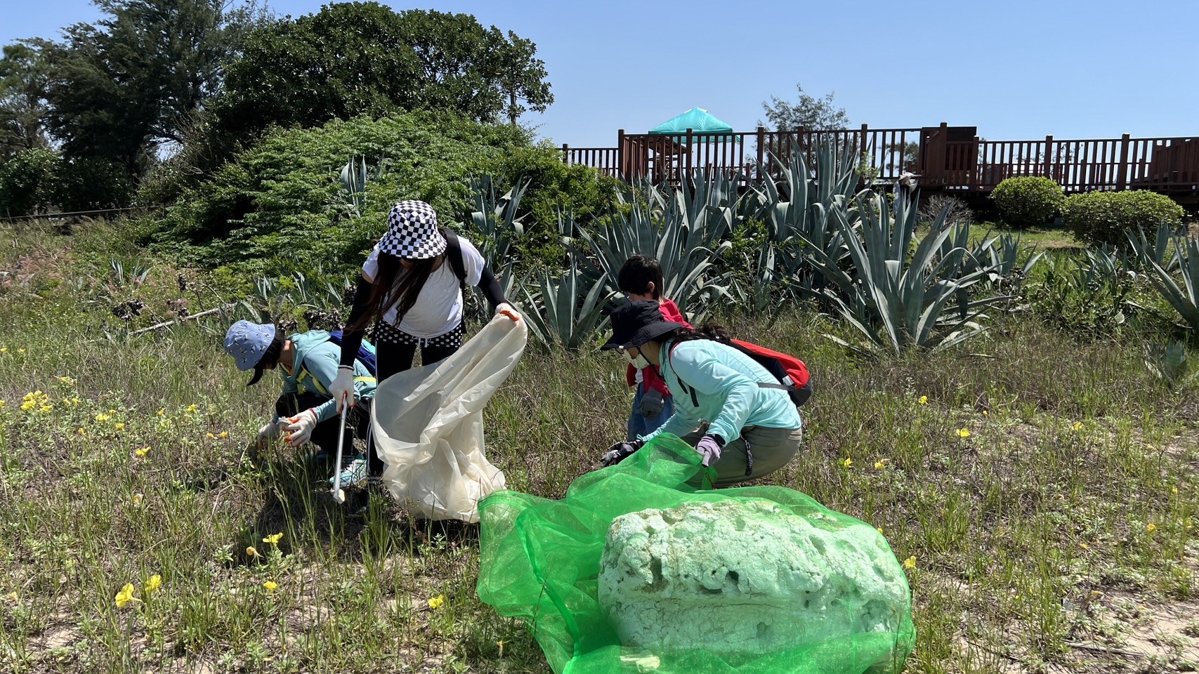 金門縣政府攜手金門國家公園管理處響應世界水獺日！守護慈湖水獺棲地與獺共存