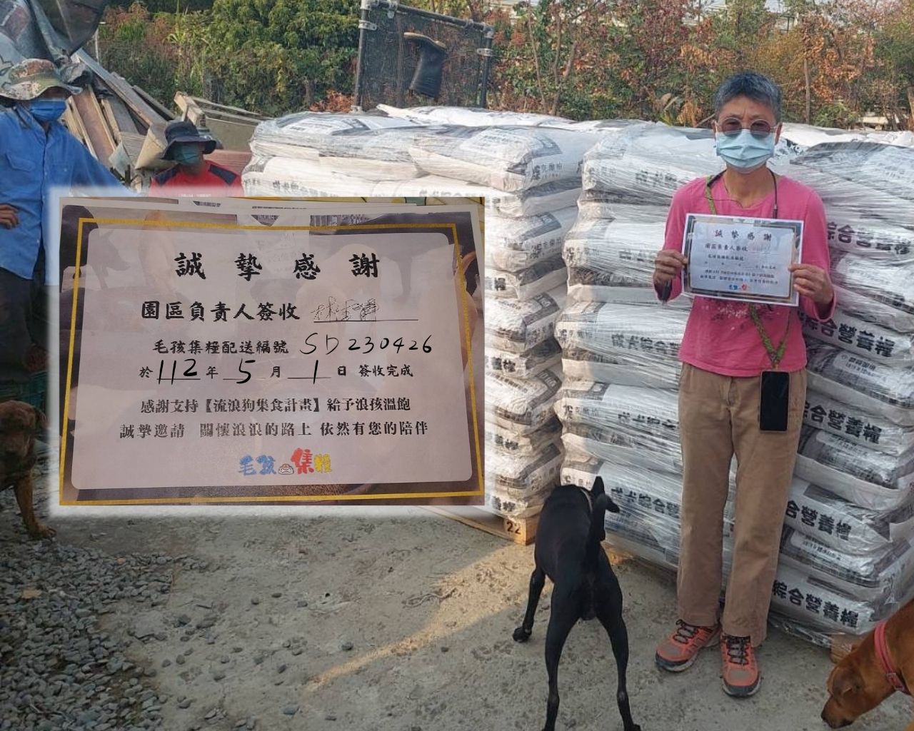 毛孩集糧讓無家可歸的浪浪飽餐一頓