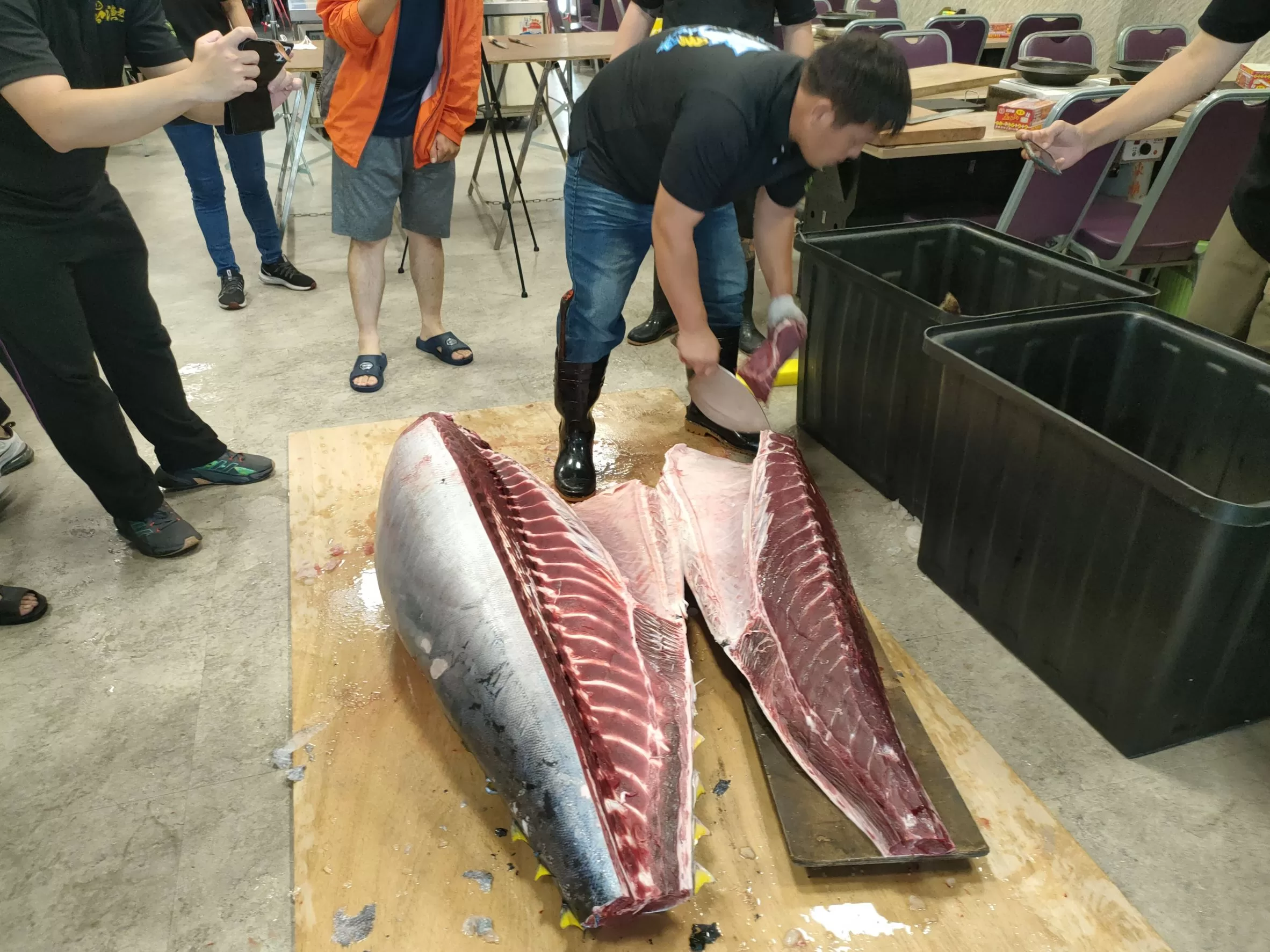 影/黒鮪魚爆量 屏東燒烤餐廳泰國蝦黒鮪魚吃到飽