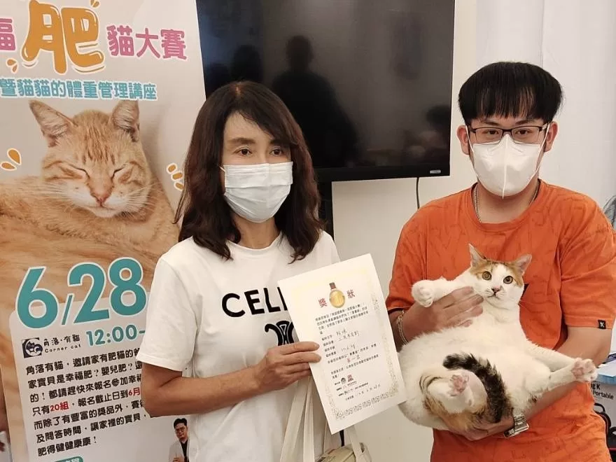 高雄第一屆肥貓大賽 10.6Kg胖貓奪冠