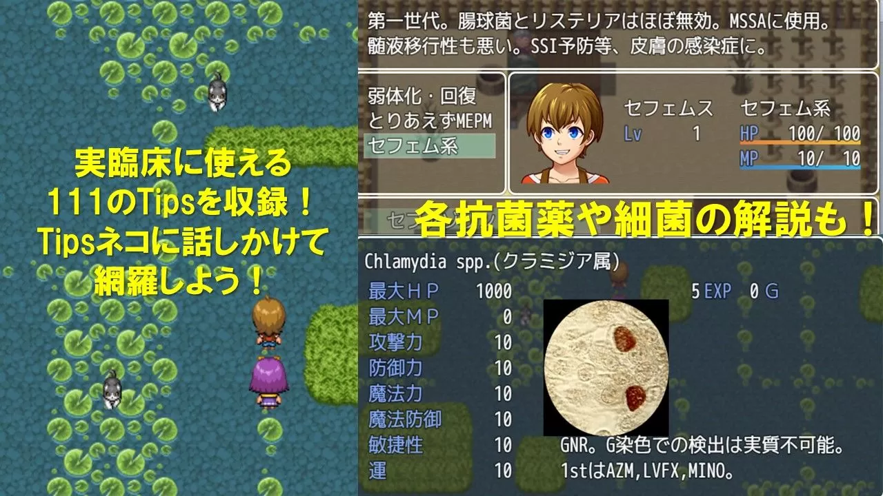 日本醫師自製《細菌．真菌學習 RPG》公開！冒險打怪還能學習各種傳染病菌知識
