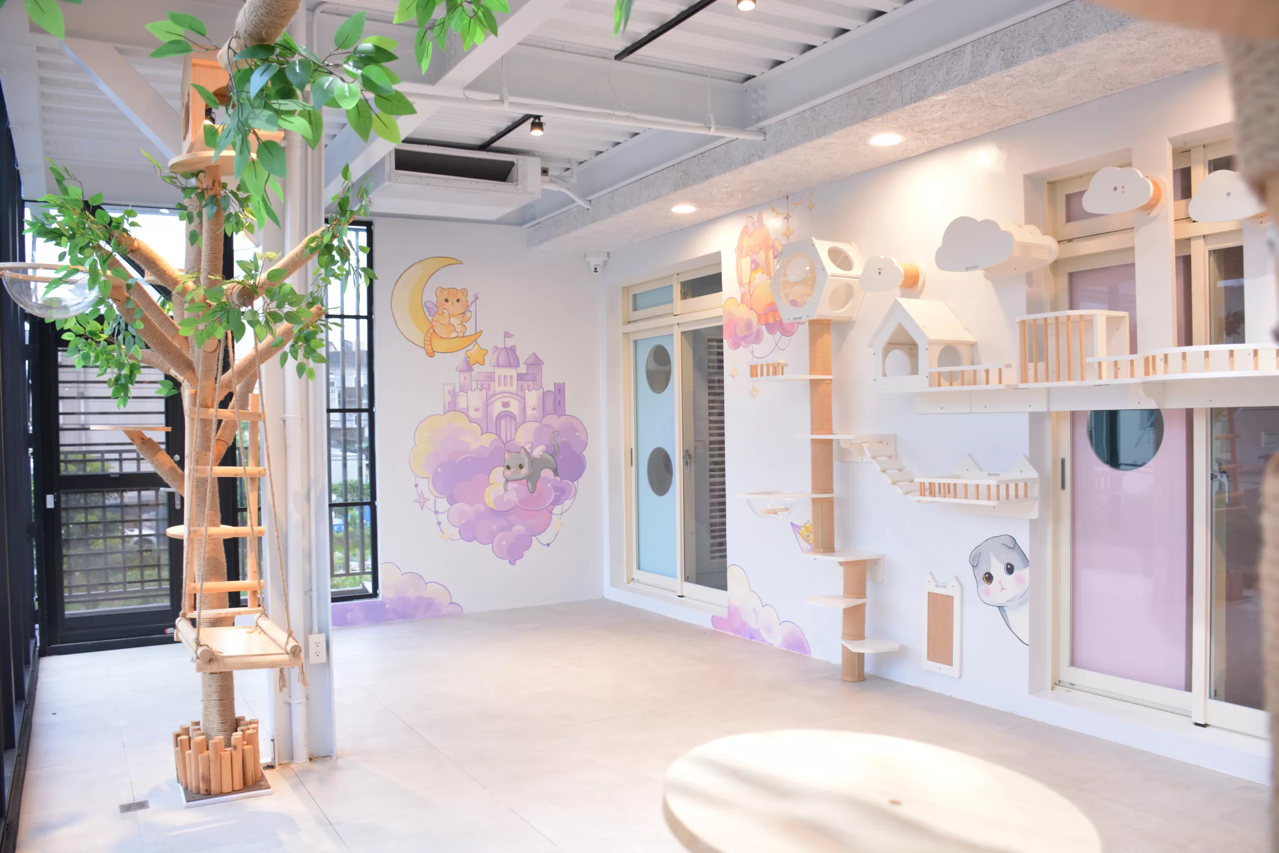 寵店新趨勢 用AI讓毛孩享客製服務