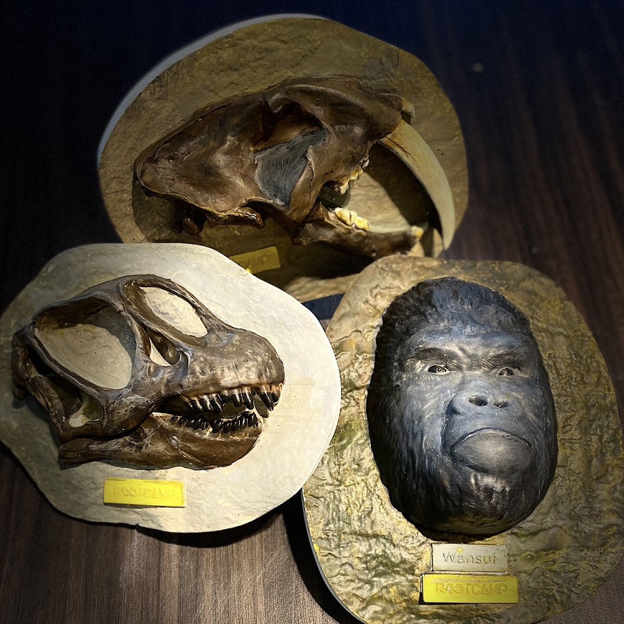 暑假到大板根溫泉酒店探索恐龍世界 森林入園門票不加價