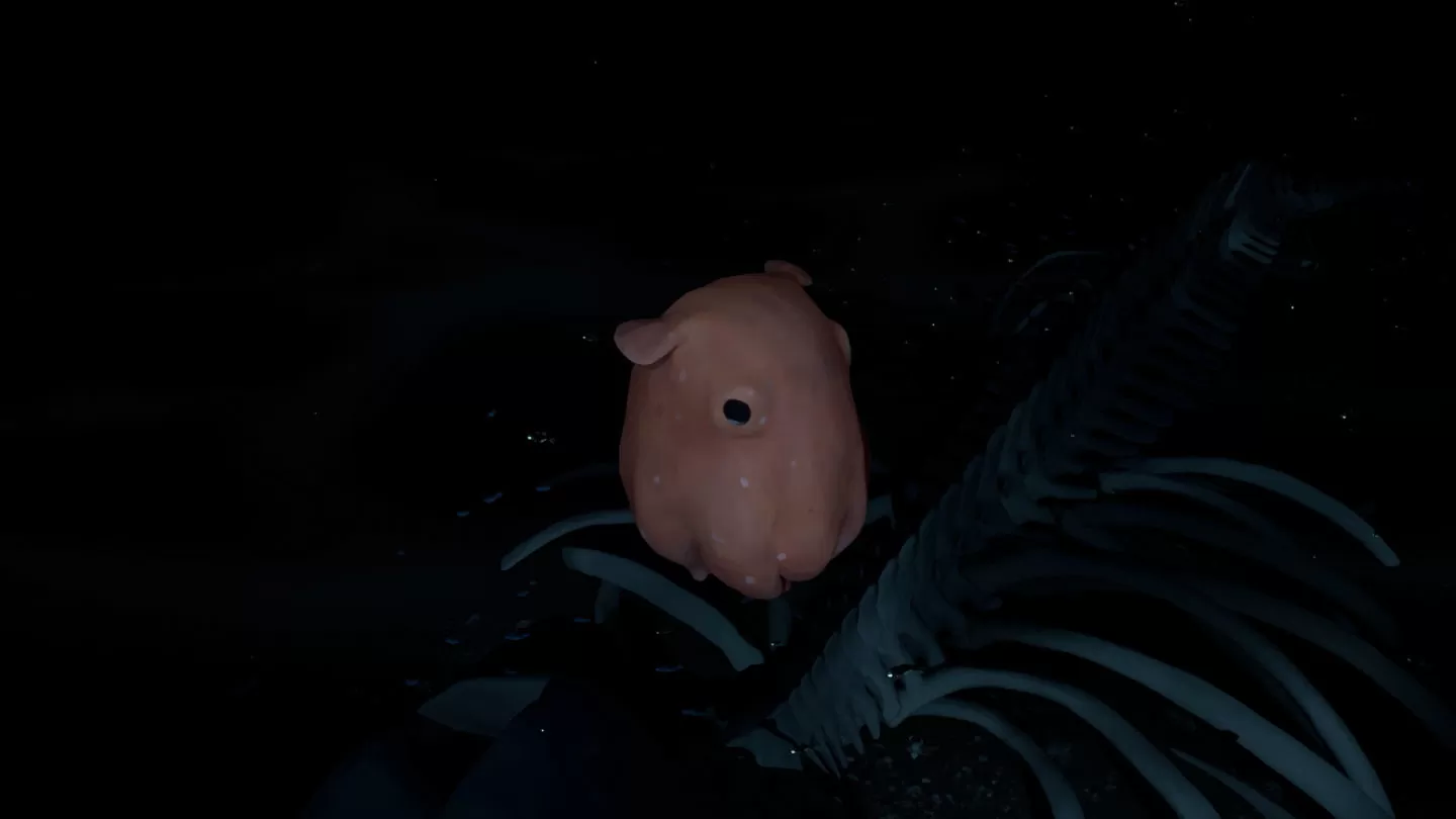 UE5 海洋探險遊戲《Whale Fall》商店頁面公開，進入神秘水下世界感受生命的奧秘