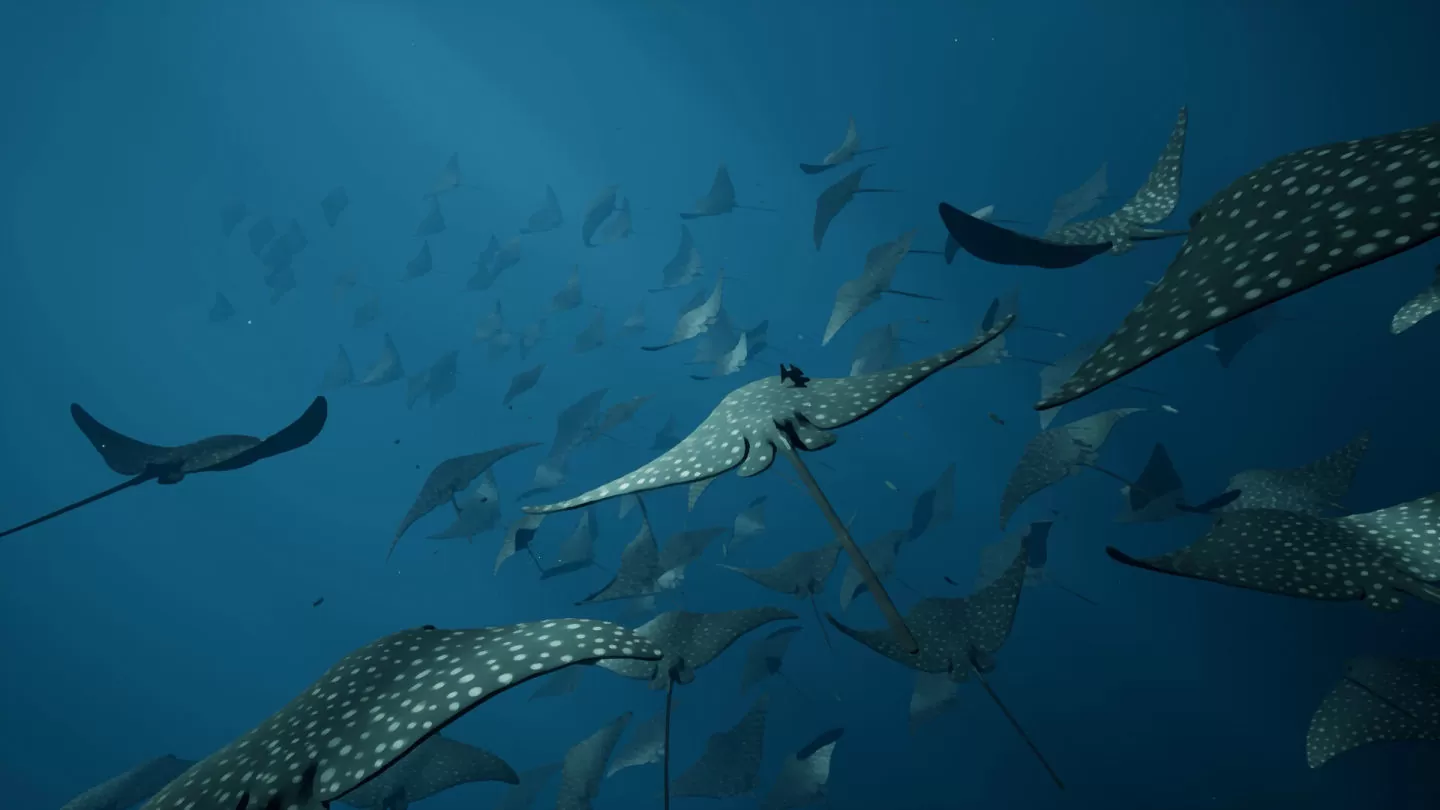 UE5 海洋探險遊戲《Whale Fall》商店頁面公開，進入神秘水下世界感受生命的奧秘