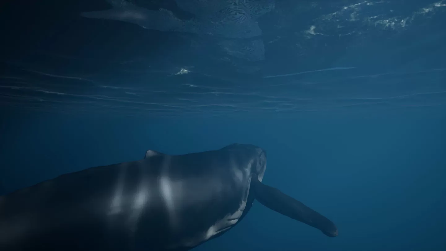 UE5 海洋探險遊戲《Whale Fall》商店頁面公開，進入神秘水下世界感受生命的奧秘