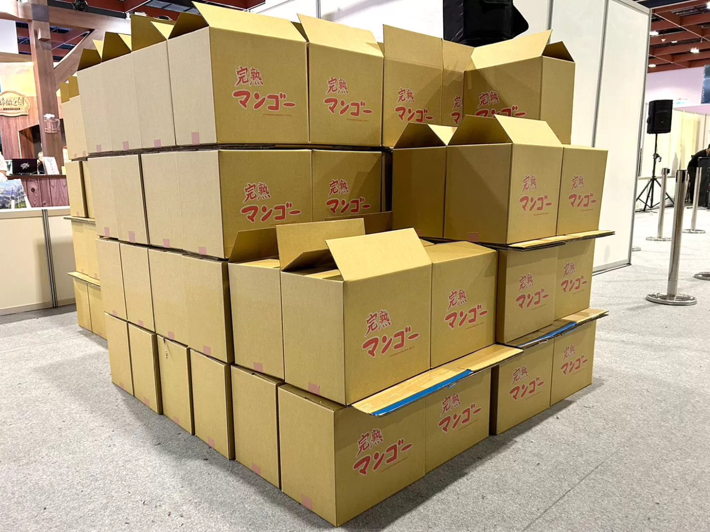 【2023漫博】《孤獨搖滾！》後藤一里聲優青山吉能，來台掃貨喉糖還重現「神機錯亂」電子音！