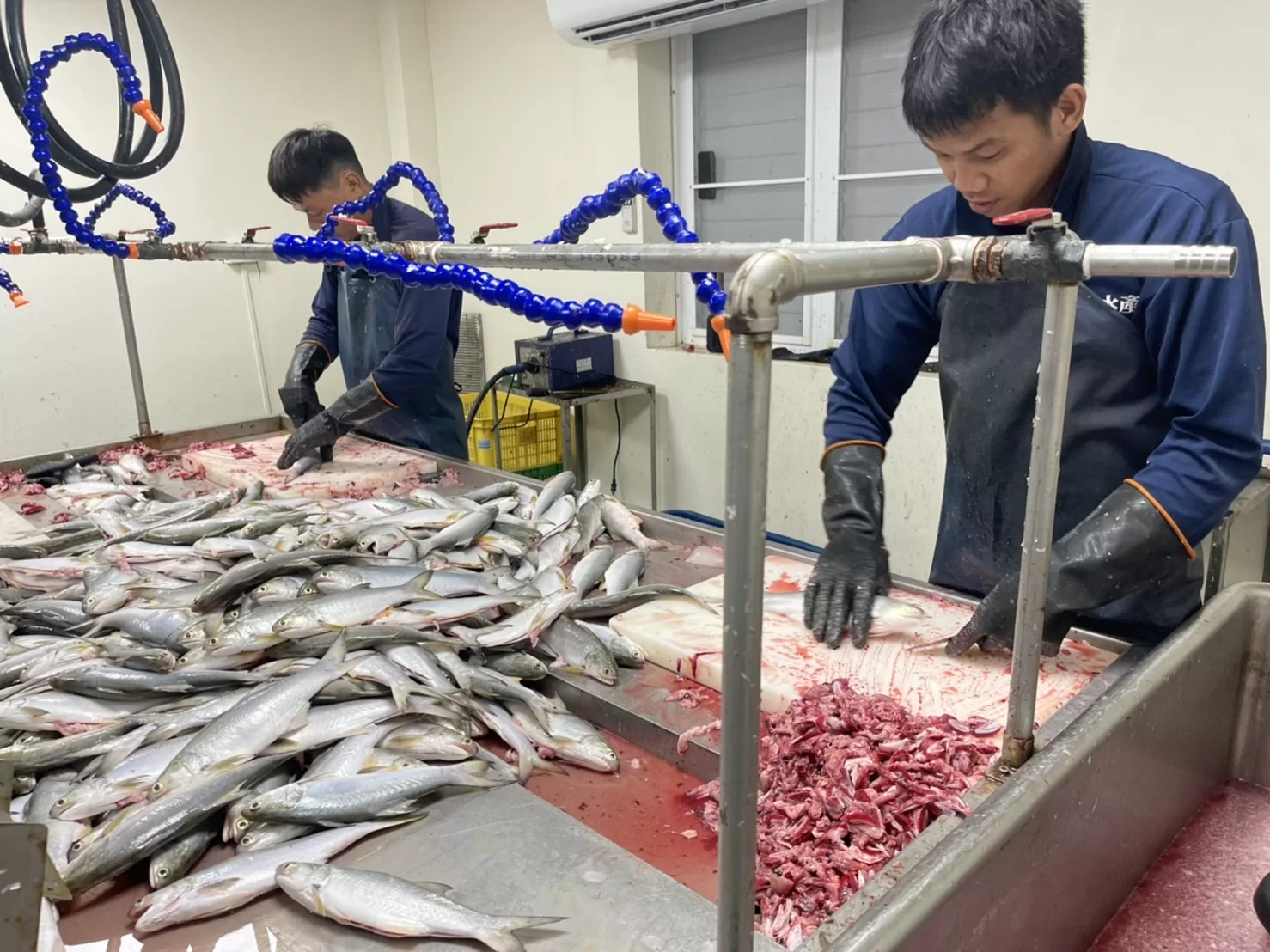 屏東枋山魚塭創新漁電共生模式 永續發展創雙贏