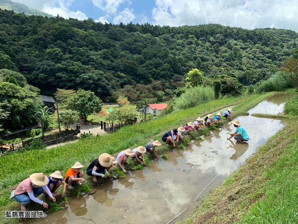台灣好行「北投-竹子湖線」首波完售 三款套票再開賣