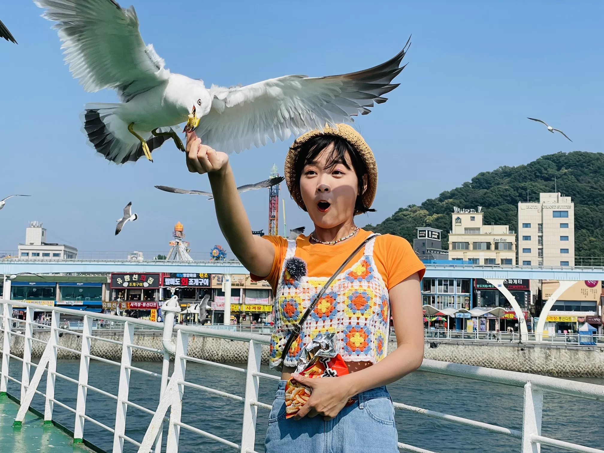 韓國遭海鷗襲擊　女星歪樓笑喊：越大越喜歡