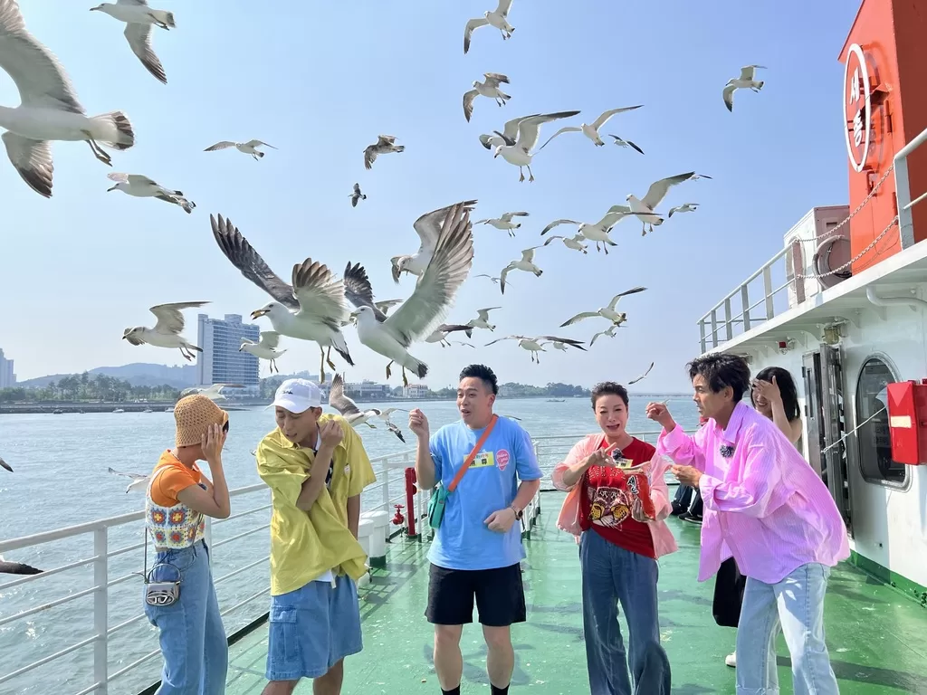 韓國遭海鷗襲擊　女星歪樓笑喊：越大越喜歡