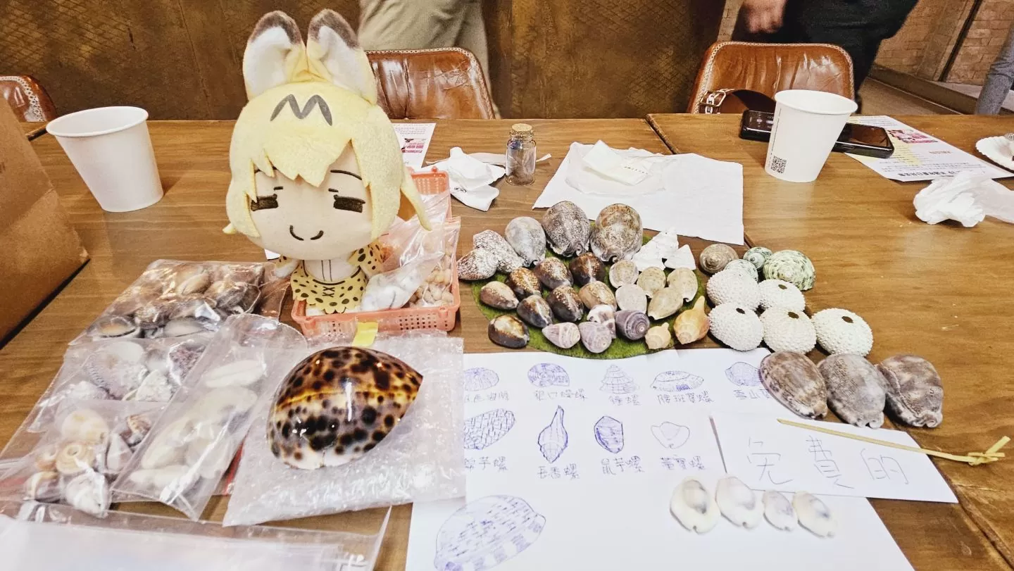 《動物朋友3》Summer半週年官方見面會！現場活動精彩回顧
