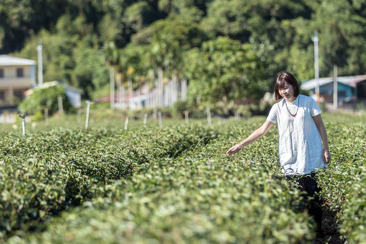 茶葉界台灣之光 台東知名茶改場獲風味鑽石獎