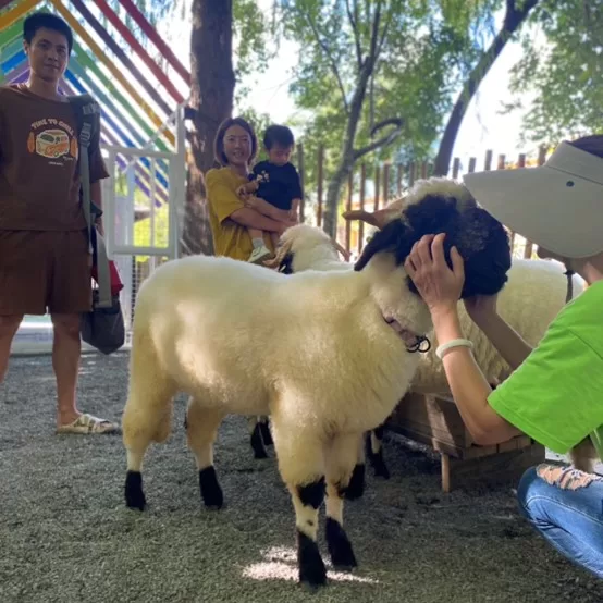 中秋國慶連假何處去？宜蘭知名森林農場邀民眾和可愛動物一起卡哇伊！