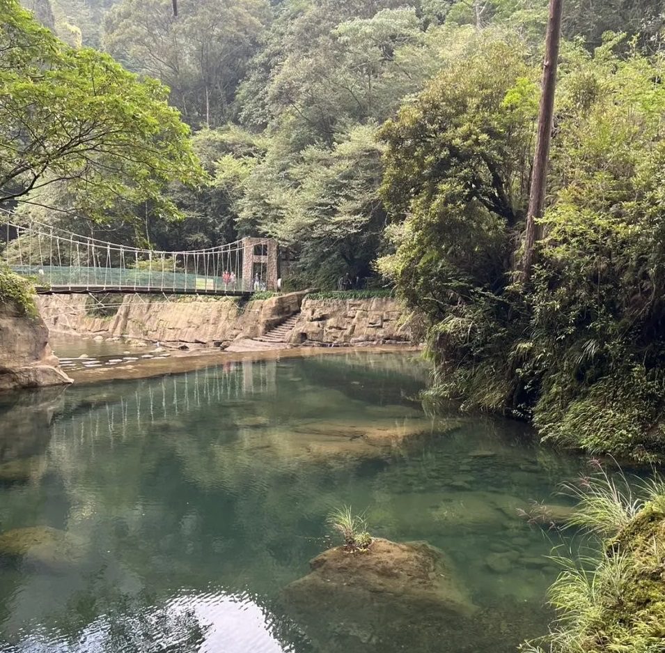 探索凰金的「生態、文化、樂活」之旅：高山青謠─茶香布農文化遊