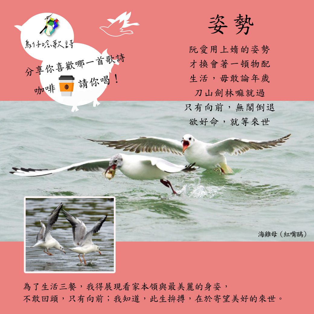 2023觀鳥馬拉松趣味生態教育　鳥仔唸歌送咖啡好康最後三天