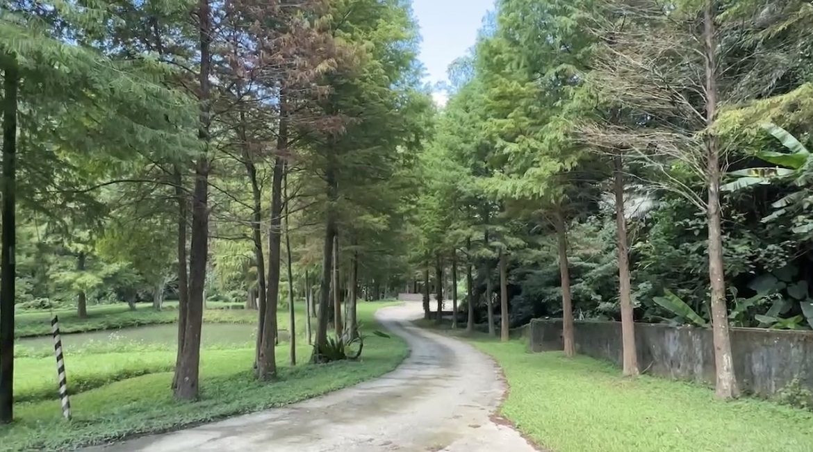 影音/樂齡旅遊體驗 展現凰金黃金年華