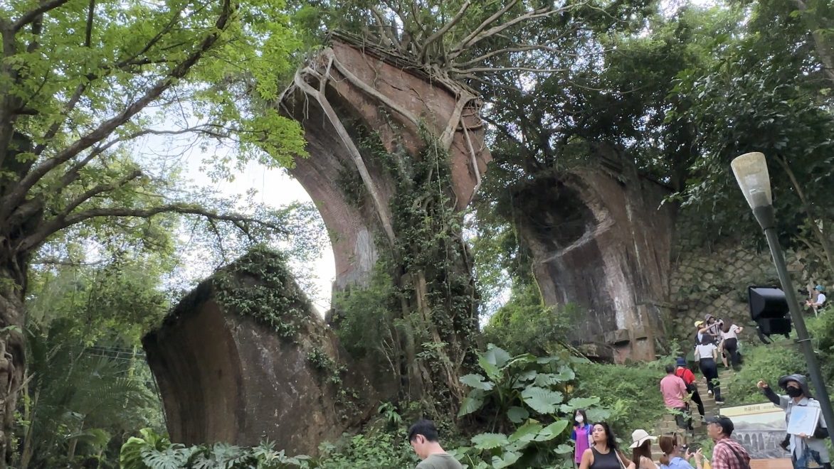 影音/樂齡旅遊體驗 展現凰金黃金年華