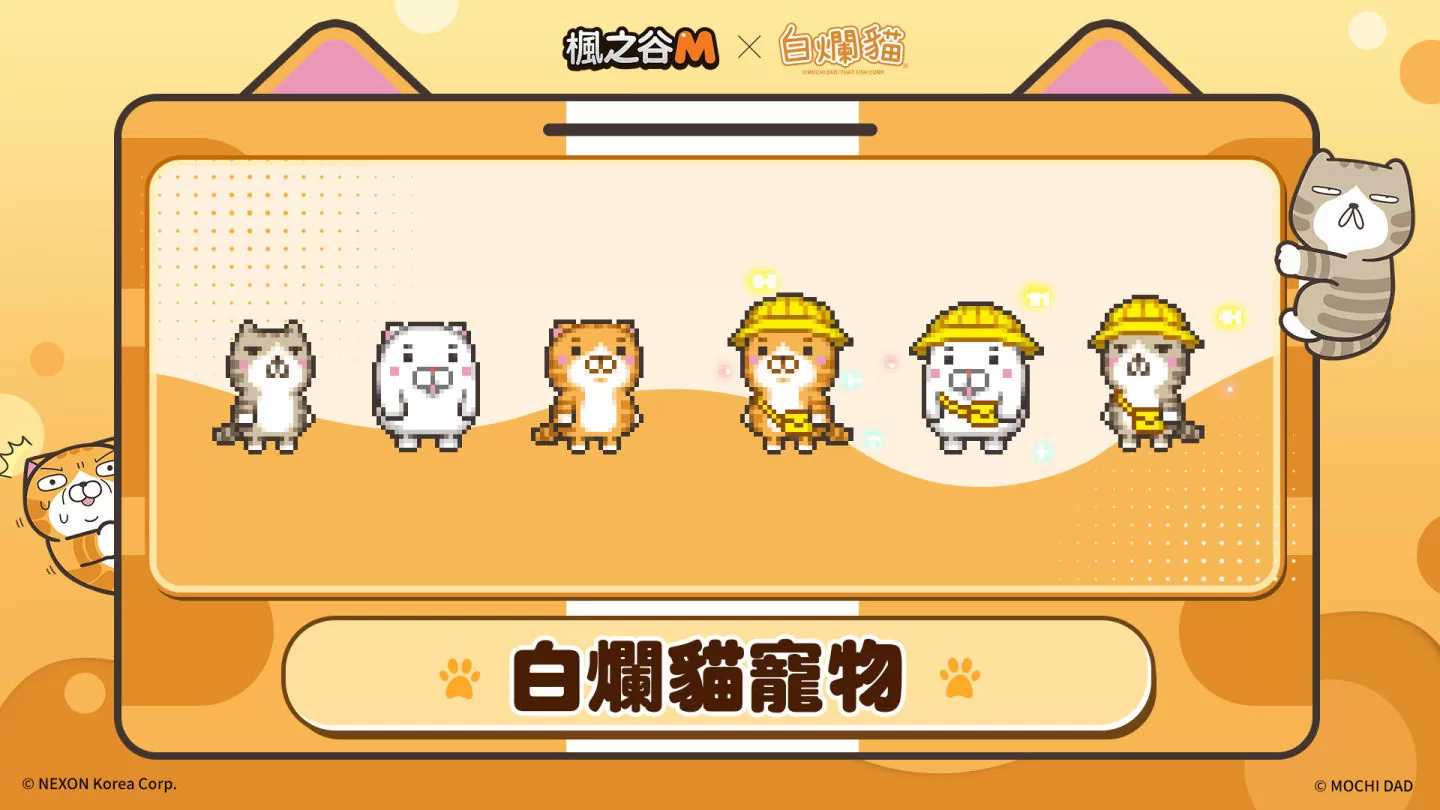 《楓之谷M》與台灣人氣IP「白爛貓」合作展開 推出期間限定騎寵和多款造型讓玩家自由搭配
