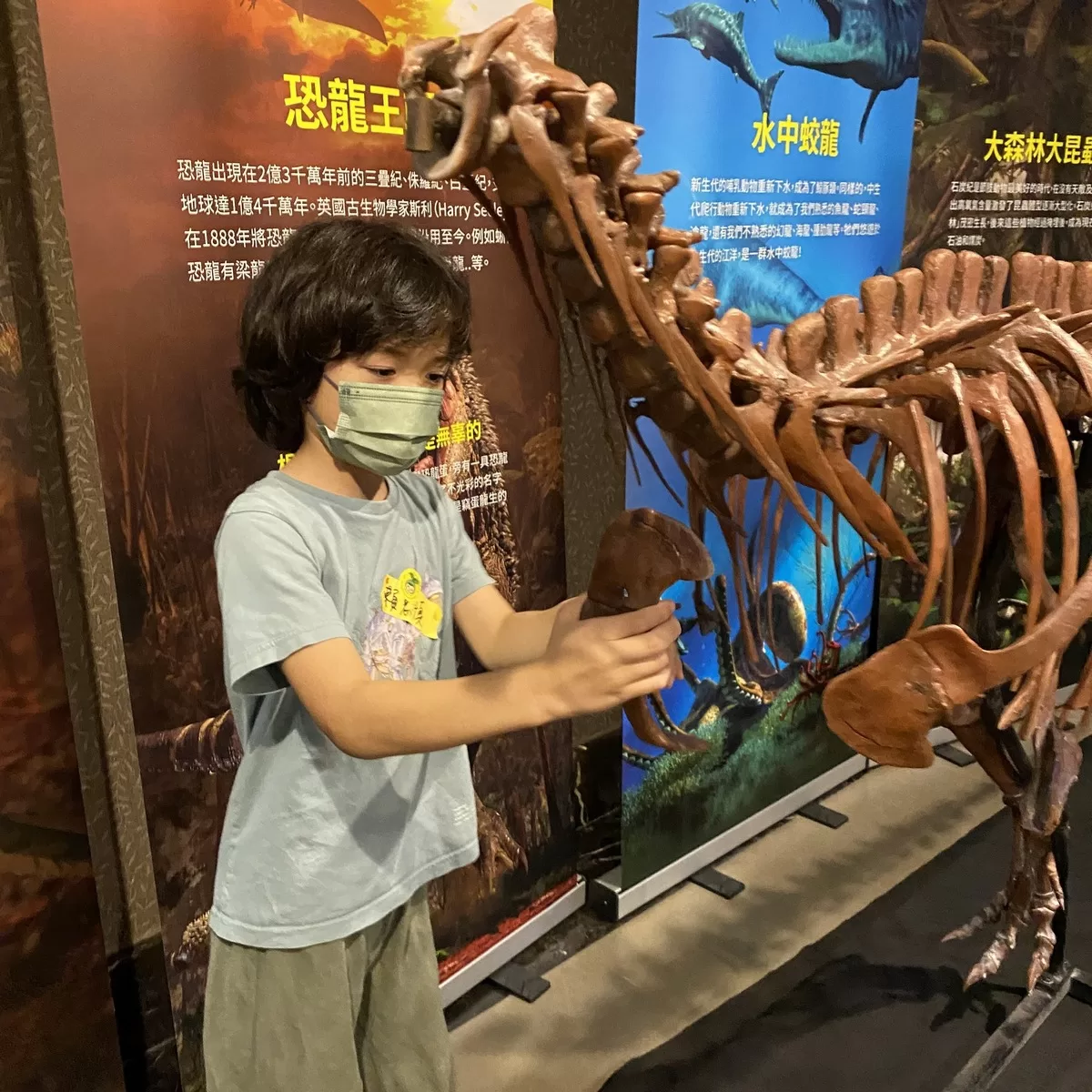 臺南左鎮化石園區將舉辦「一日古生物學家」實境探索