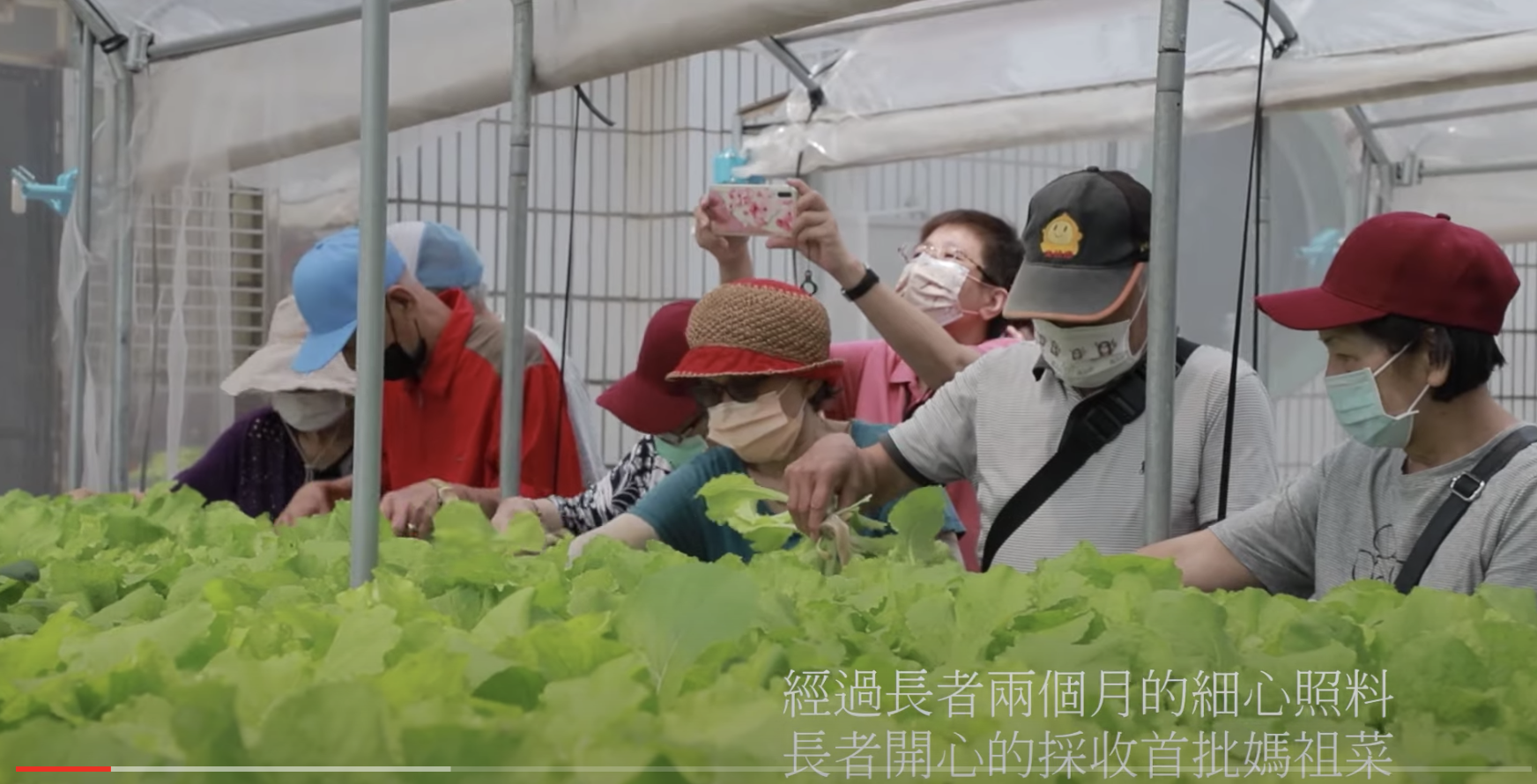 媽祖廟也能化身空中菜園， 成為照護「老大人」的金點英雄！