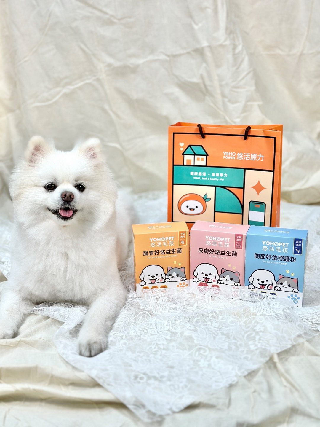 保健食品品牌切入毛孩市場 引領寵物保健革命 奪國際大獎