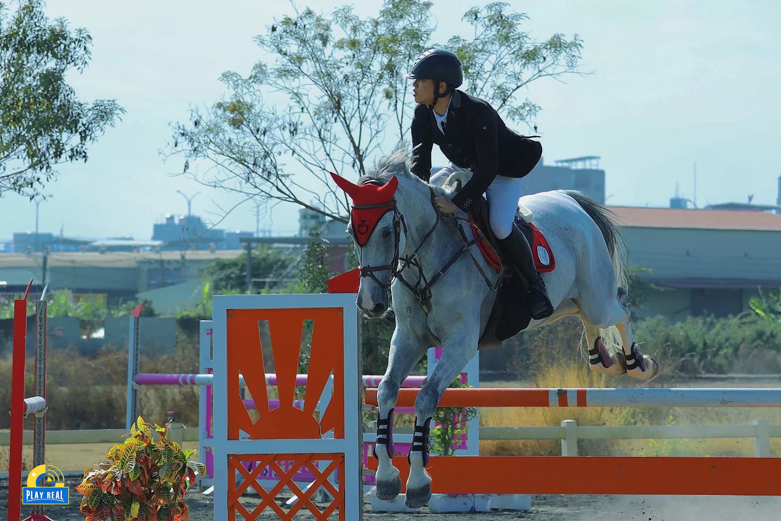 三春森林馬場三公子 馬場裡的哲學