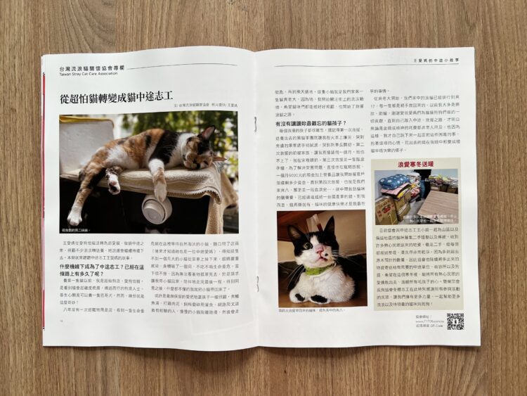 謝祖武其實是貓奴?養貓人必備《貓咪與我》收錄不為人知的一面 謝祖武其實是貓奴?養貓人必備《貓咪與我》收錄不為人知的一面