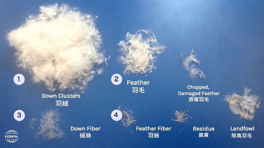 台灣羽毛公會發表市售羽絨產品抽檢報告 市售產品亂象多　兩大「坑」勿踩　　