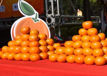 年節近了　茂谷柑「4選」酸甜多汁不出錯