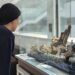 中市府藝術廊道展出姚進中師生陶藝 逾80件作品展 中市府藝術廊道展出姚進中師生陶藝-逾80件作品展