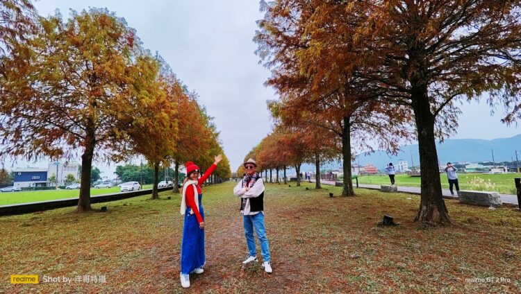 圖輯-/-攝影達人林承洋作品-來去宜蘭看金紅色浪漫落羽松