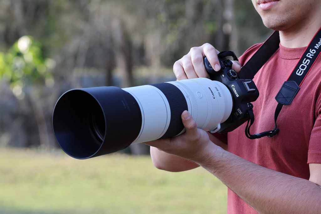 長焦端達 800mm 的輕量型大砲　Canon 發表新款超望遠變焦鏡頭