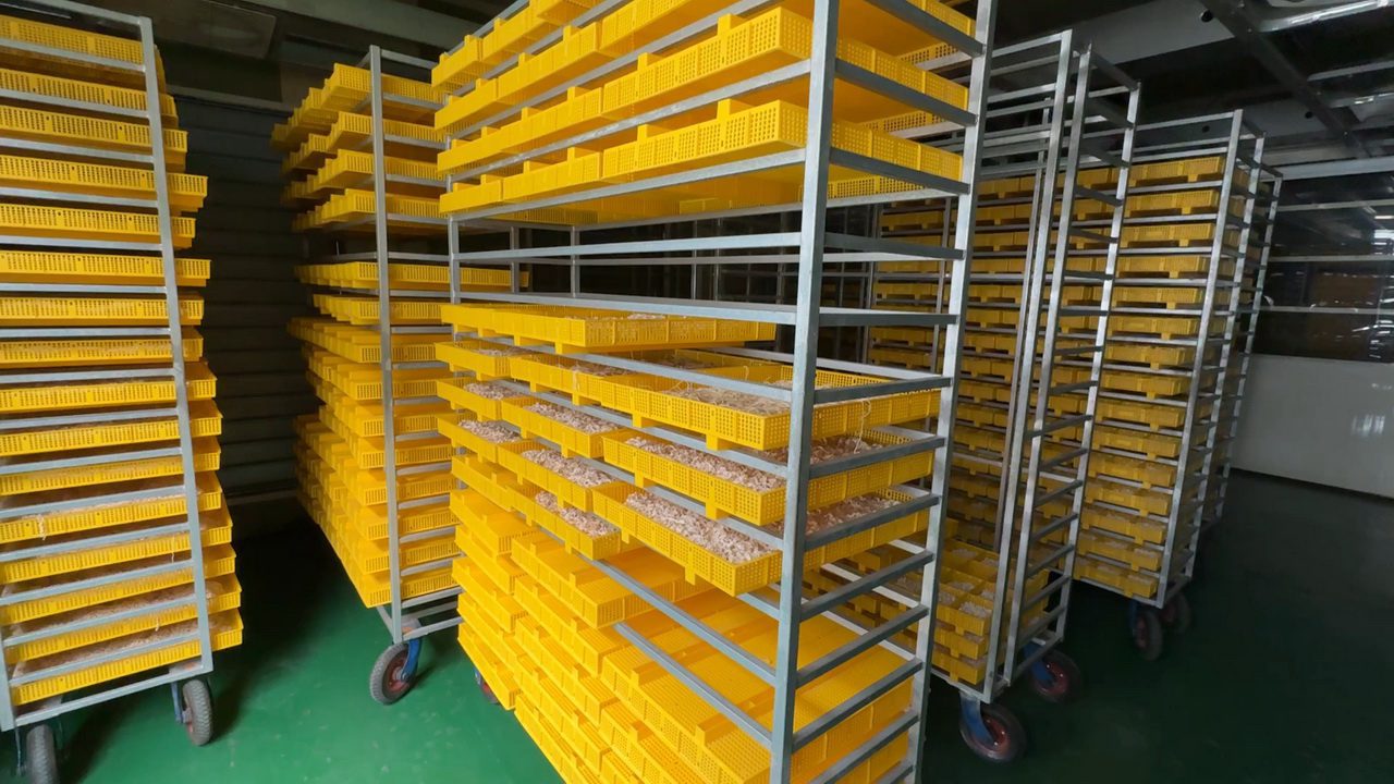 角力快煮麵市場 三男小食麵吃出古早台灣味