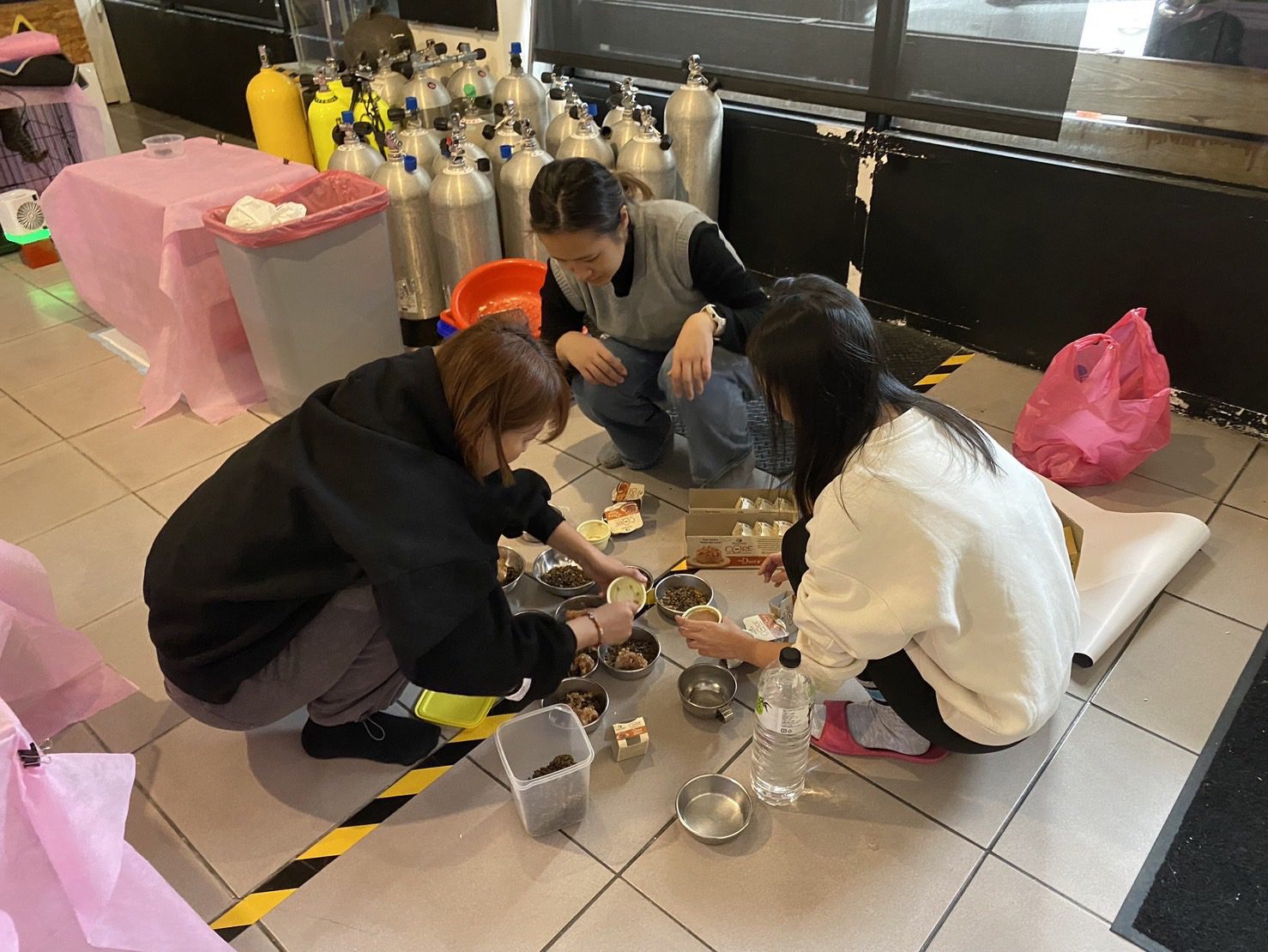 李懿暖心助浪浪結紮　海邊補貓下一秒⋯手機噴飛落海