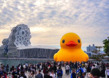 高雄冬季遊樂園吸引60萬人　超萌黃小鴨成焦點