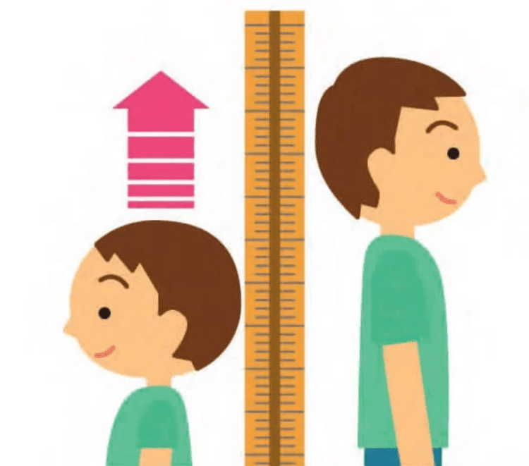 兒童發育不能等 把握孩子長高黃金期