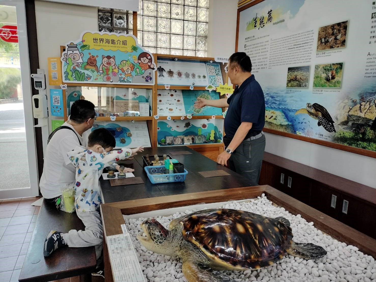 小琉球遊客中心打造了「世界海龜介紹」櫥窗