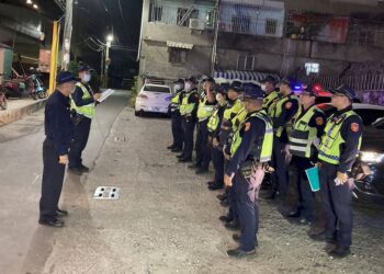 湖內分局執行威力掃蕩、臨檢、路檢以淨化社會治安