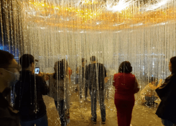 首屆「新營波光節」超夯-首週參觀人次突破4萬-擠爆天鵝湖公園