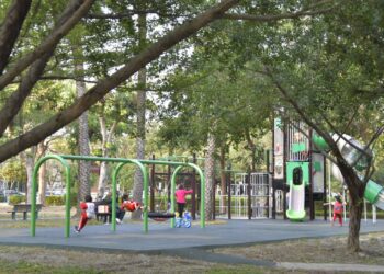 來九如公園學獼猴玩遊戲