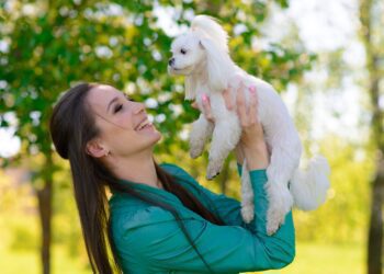 溫馴又安靜-適合養在公寓的6個狗狗品種