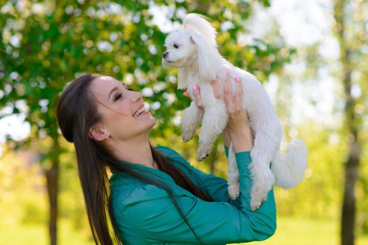 溫馴又安靜 適合養在公寓的6個狗狗品種 溫馴又安靜-適合養在公寓的6個狗狗品種