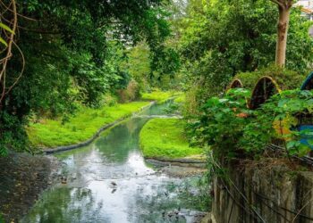 新北「棄屍臭水溝」整治變生態綠廊　區域新案飆7字頭完售